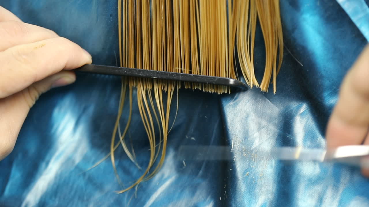 Professional hairdresser cutting hair to female customer at design hair salon
