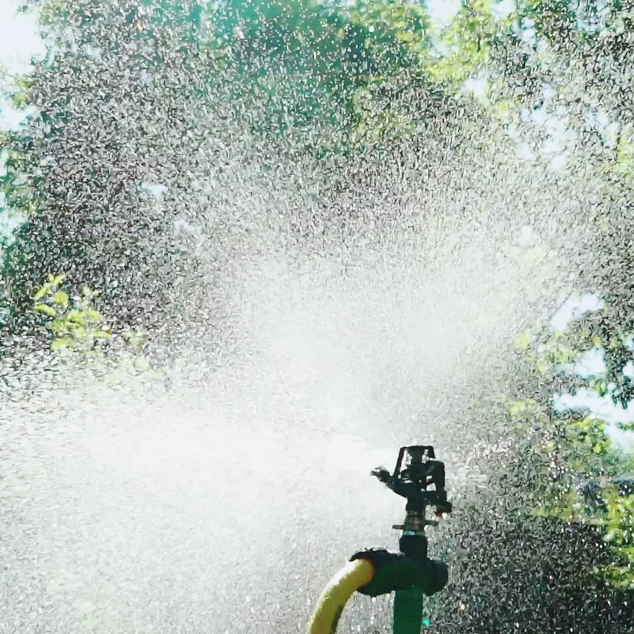 A professional automatic irrigation system sprays water in small droplets in the fog view on the territory of the site in the countryside in the summer. Close-up.