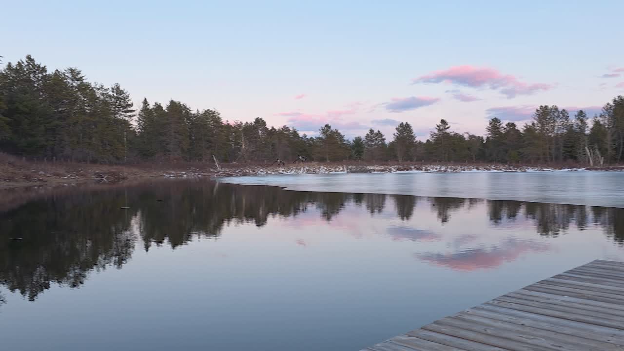 Dvě husy se snášejí na zrcadlící se lesní jezero, zatímco růžová soumračná obloha zbarvuje scénu.