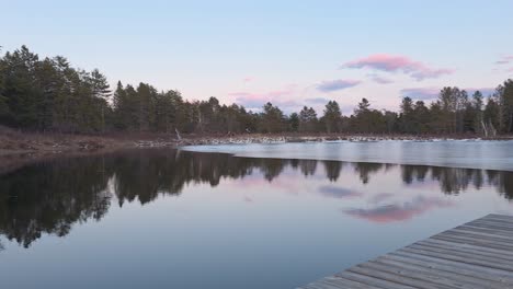 two geese descend onto reflective forest lake as pink dusk sky colors the scene