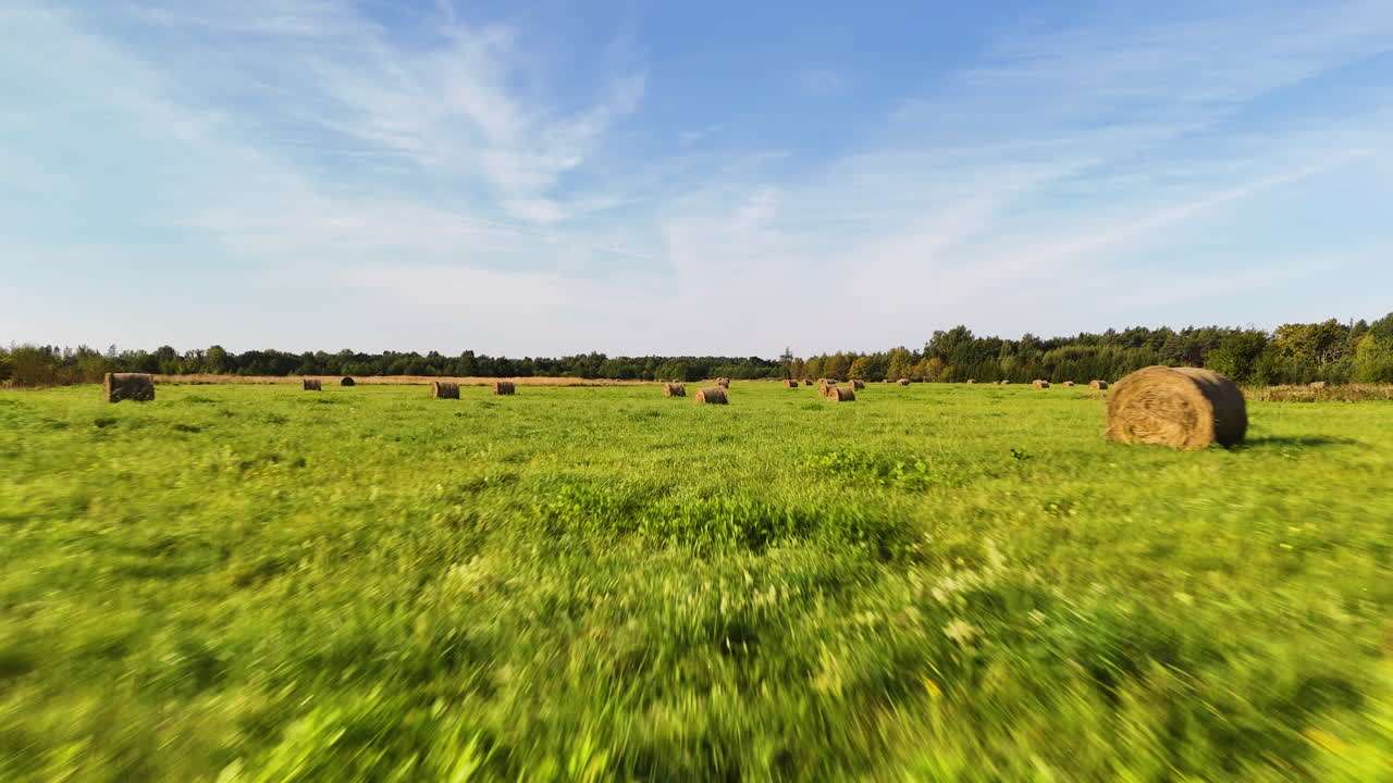 Green hayfield with round bales under a clear blue sky in Jurkalne, Latvia.