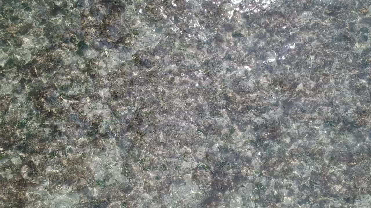 하와이 오아후 의 깨 ⁇  한 물 을 가진 바다 바닥 의 항공 영상