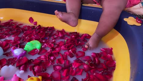 top shot of baby shower going in the bath tub decorated with rose petals