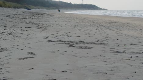 Baltic-sea-coastline