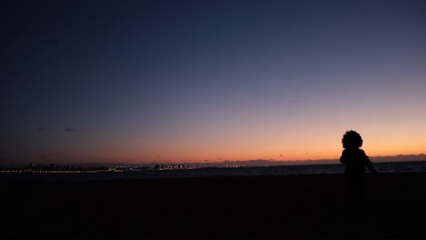 sunset silhouette on the beach