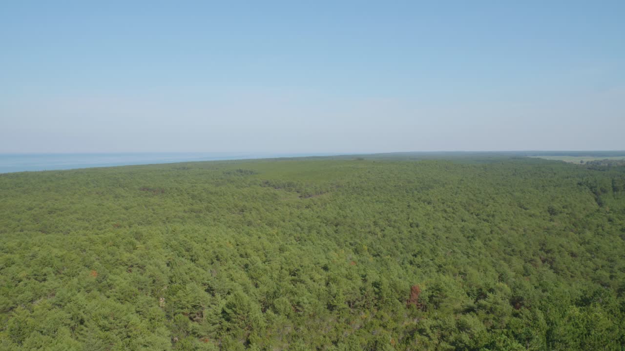 una vista panorámica desde la parte superior del faro de stilo, con vistas al bosque verde exuberante y al mar, mezclando la belleza de la naturaleza con el paisaje marítimo