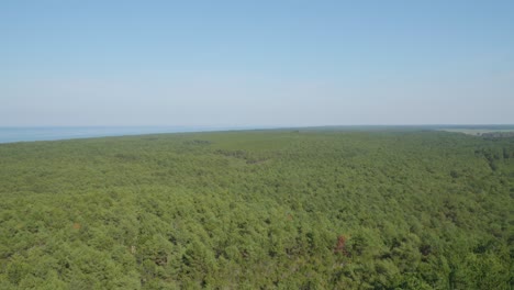 Ein-Panoramablick-Von-Der-Spitze-Des-Stilo-Leuchtturms-über-Den-üppigen-Grünen-Wald-Und-Das-Meer,-Der-Die-Schönheit-Der-Natur-Mit-Der-Maritimen-Landschaft-Verbindet