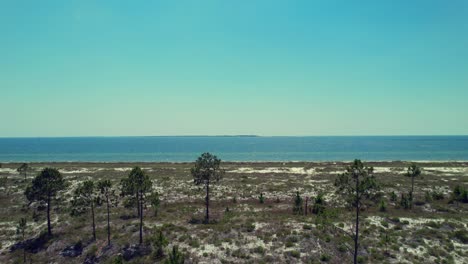 Aerial-establishing-shot-of-Gulf-of-Mexico-along-the-Forgotten-Coast-of-Florida