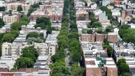 Street-with-mature-green-trees-in-summer-in-Brooklyn,-New-York