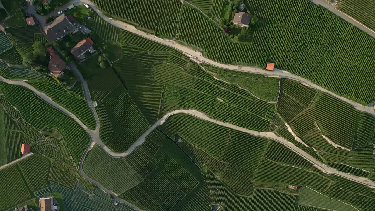 vista aérea del avión no tripulado de los viñedos en lavaux, suiza