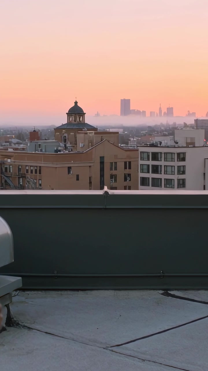 Vertical video: Panning camera filming rooftop parapet and cupola at sunset, small bird perched