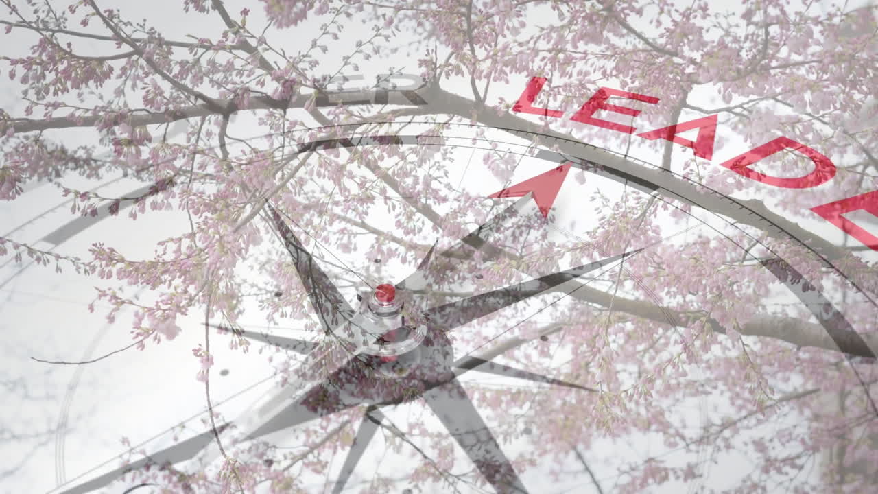 나무 위의 추종자 및 리더 텍스트와 함께 나침반의 애니메이션