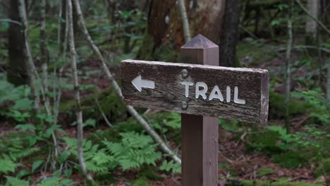 handheld shot of trail sign pointing hikers in the right direction