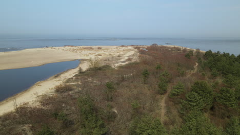 dense forest with pathway at mewia lacha nature reserve in sobieszewo island, bay of gdansk, baltic sea, poland