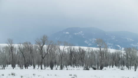 handheld wide shot of storm clouds in the mountains of western wyoming