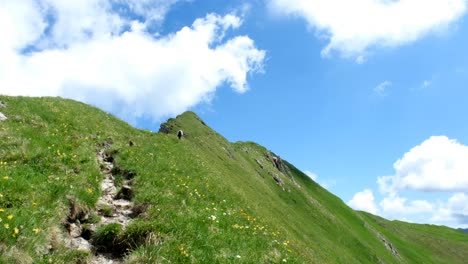 hiker ascending a rugged mountain trail on a grassy green slope under a bright blue sky with clouds. a scenic adventure in untouched alpine wilderness.