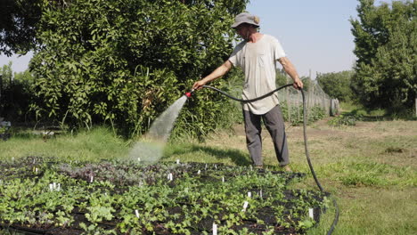 Drone-approaching-to-man-watering-his-vegetables-backyard-patch-under-sunlight