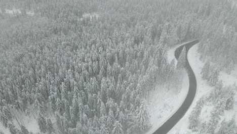 Vista-Aérea-De-La-Carretera-Entre-El-Bosque-Cubierto-De-Nieve