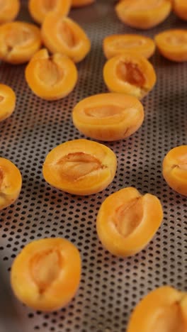 dried apricot halves on a perforated tray