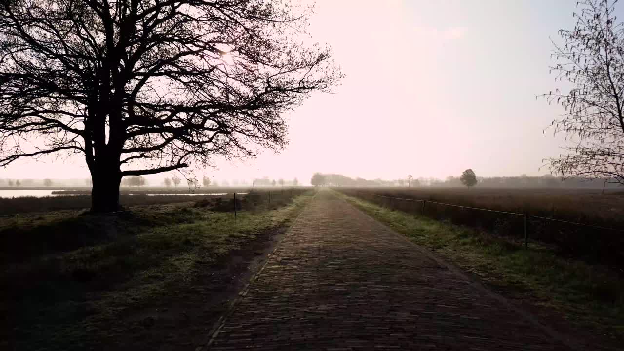 네덜란드 의 안개 가득 한 시골 도로
