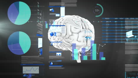 animación del procesamiento de datos sobre el icono del cerebro humano giratorio contra un fondo negro.