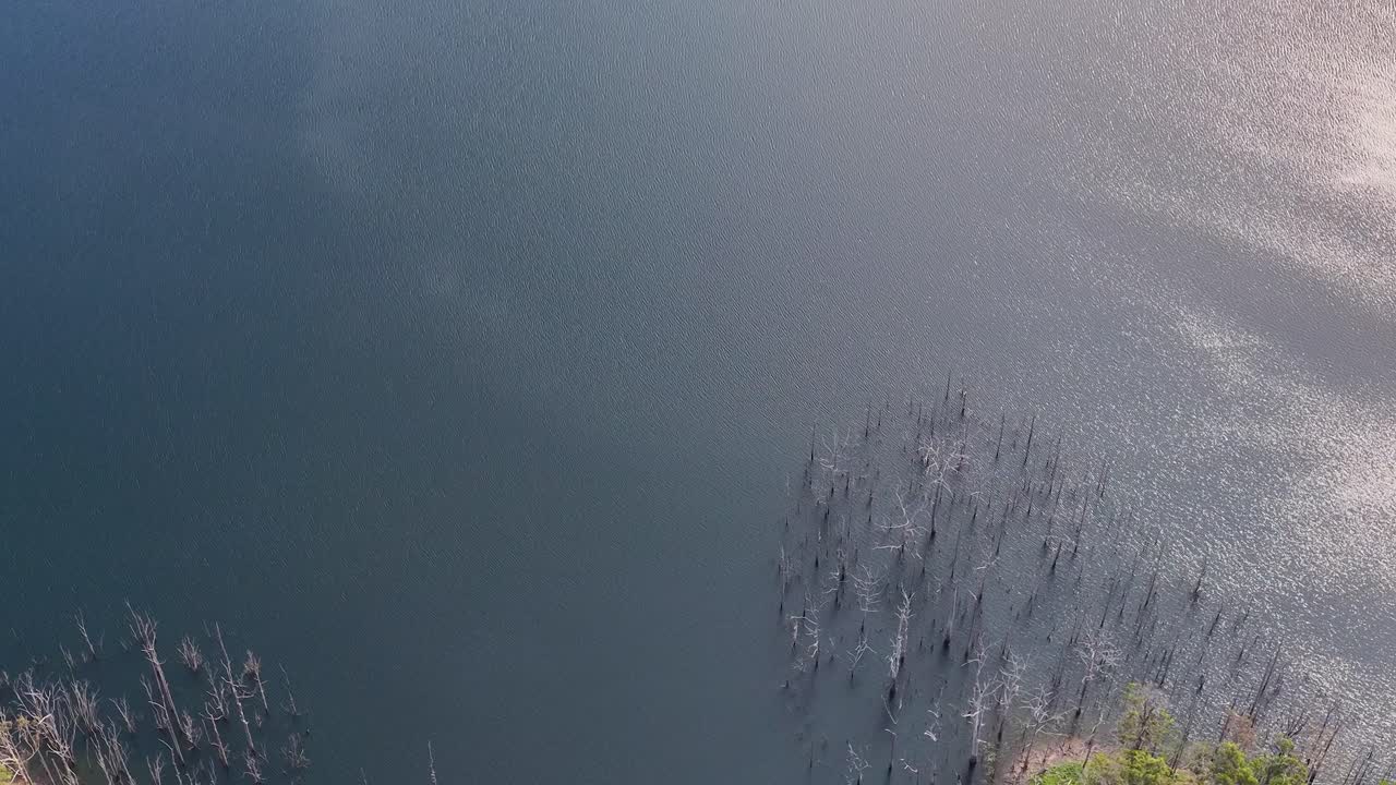 Drone glides above lush forest, wetland, and reflective lake in bright natural daylight