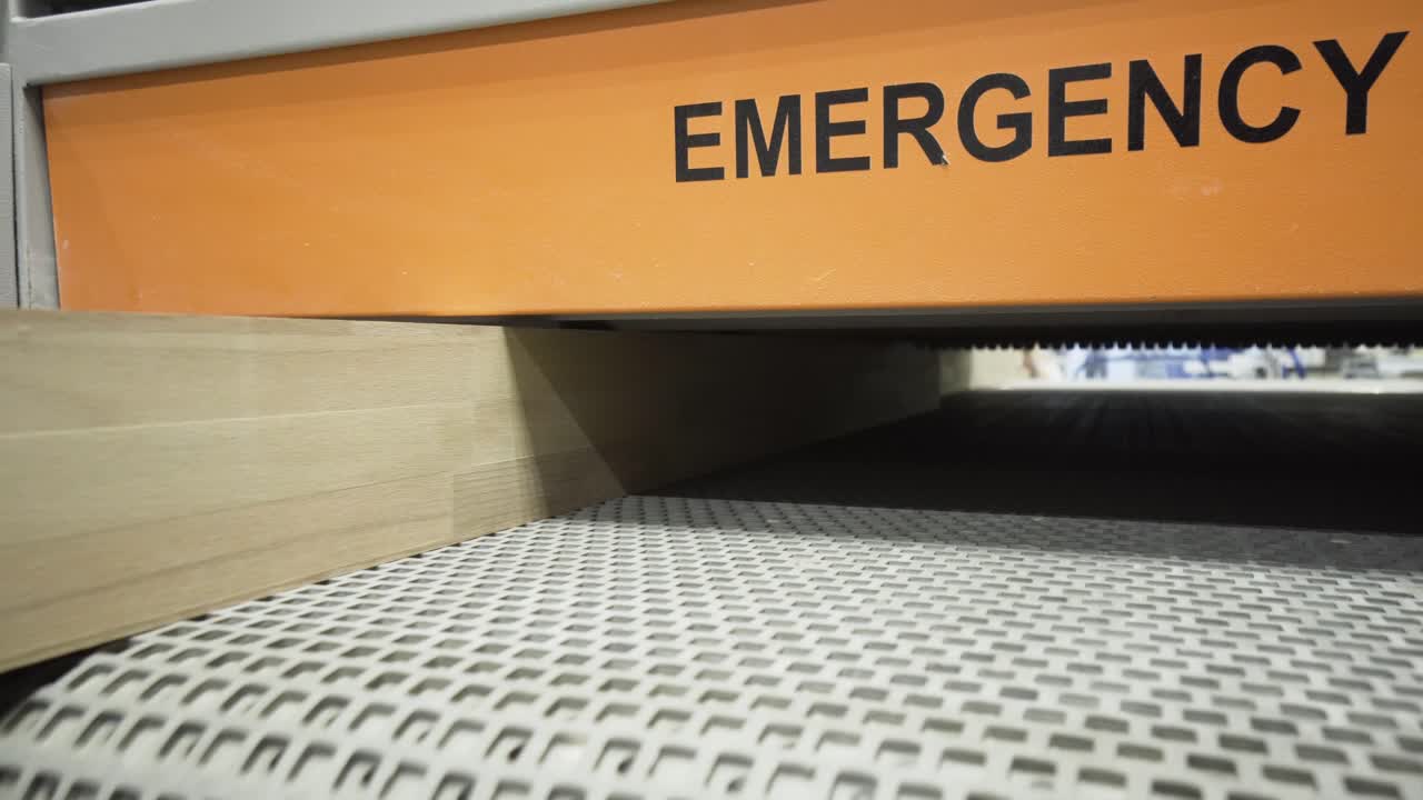 Wood Plank Processing on Conveyor Belt