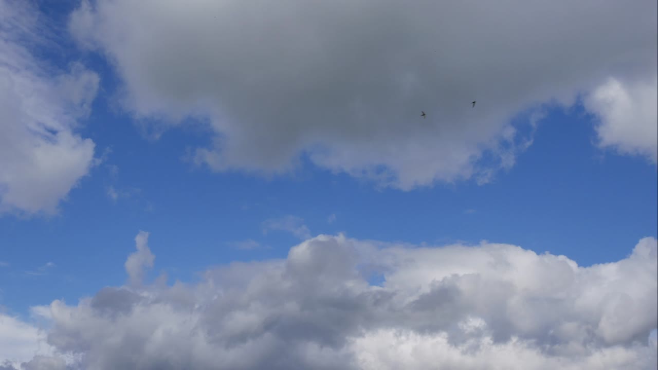 cielo azul nubes blancas. nubes puffy fluffy blancas. nube cúmulo scape lapso de tiempo. verano cielo azul lapso de tempo. dramático majestuoso increíble cielo azul. nubes blancos suaves se forman. nubes fondo lapso de time
