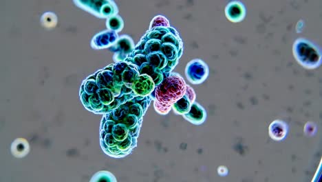 microscopic view of colorful bacteria clusters, shot from above