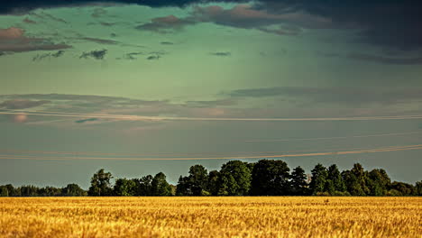 timelapse shot of cloud movement of dark cloud movement over ripe yellow wheat field on a sunny day