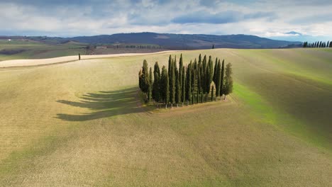 grupo de cipreses en la toscana en las colinas verdes durante el período de primavera. vista aérea circular de ciprés en val d'orcia, italia.