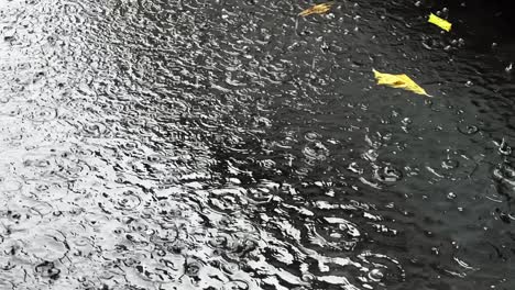 Toma-En-Cámara-Lenta-De-Agua-De-Lluvia-Cae-Sobre-Charcos-En-La-Carretera-Asfaltada