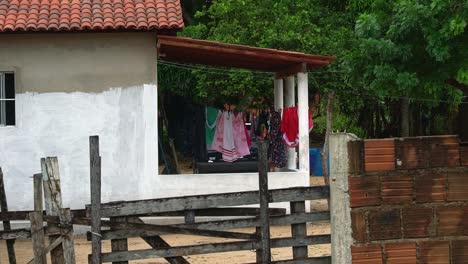 ropa secándose en una cuerda de ropa en la parte de atrás de una pequeña casa rural humilde hecha de hormigón y madera rodeada de plantas tropicales verdes exóticas en el estado de rio grande do norte en el noreste de brasil