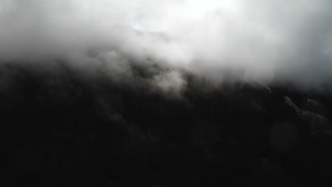 clouds covering mountain forest on olympic peninsula, washington state