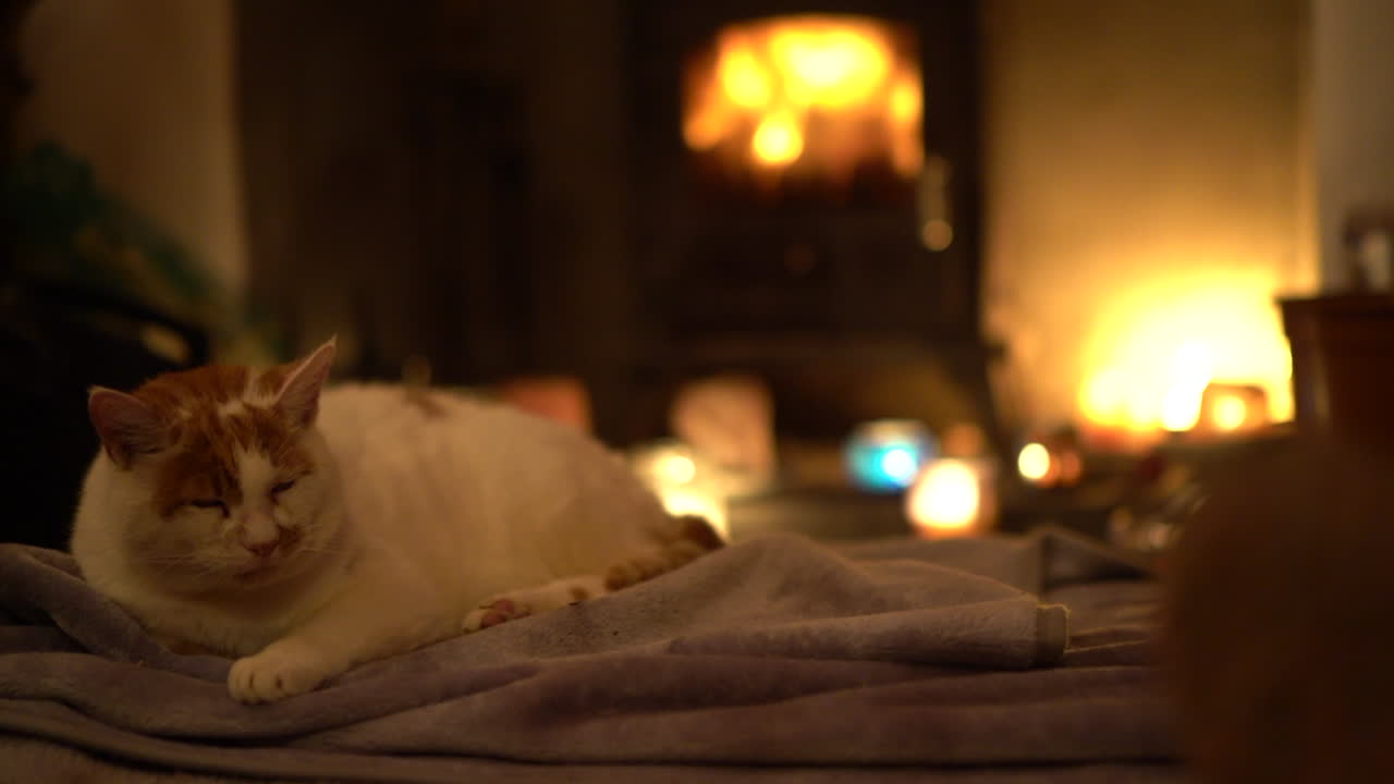 A sleepy cat relaxing in front of a cosy log burner with candles and winter ambience
