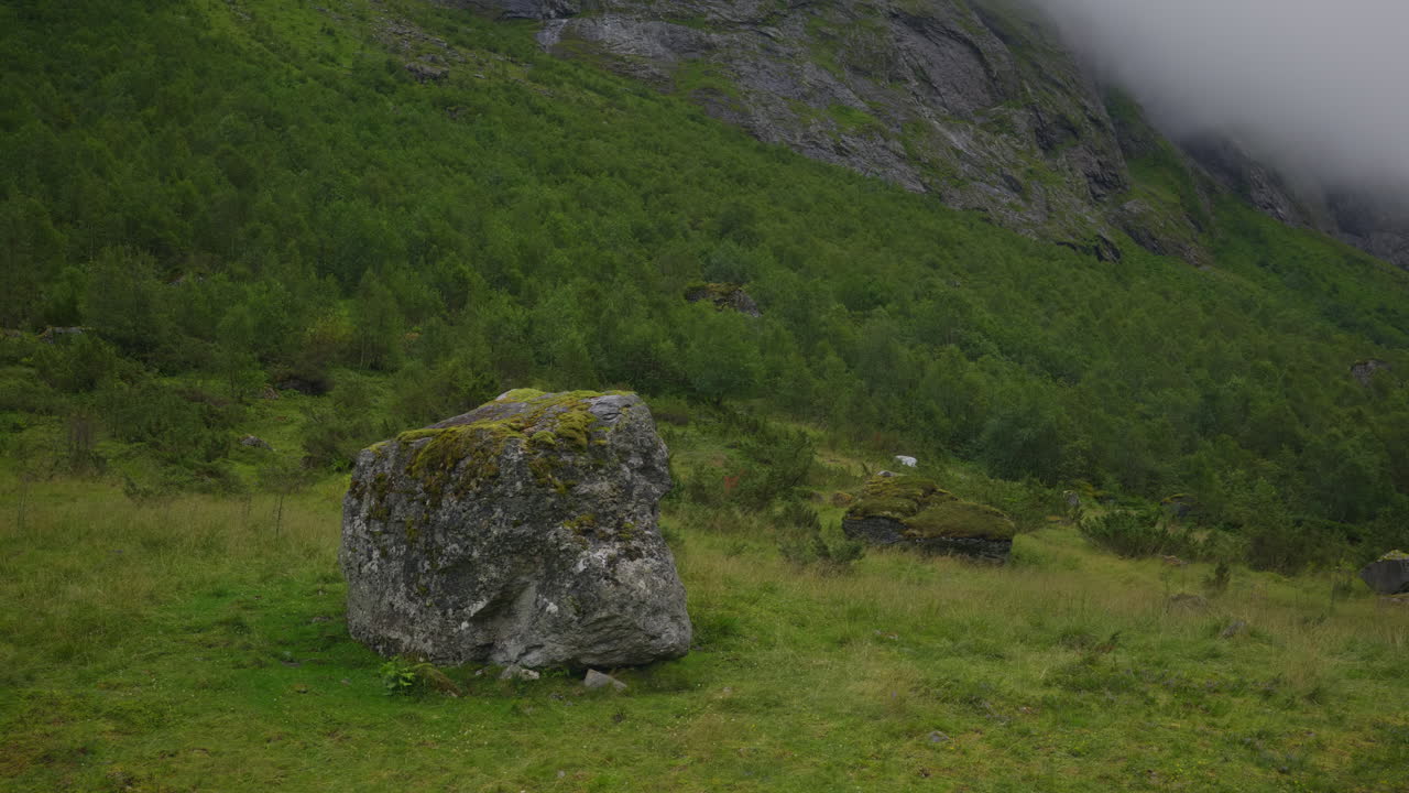 Rock for rock avalanche that has moss grown on it in a valley in Norway