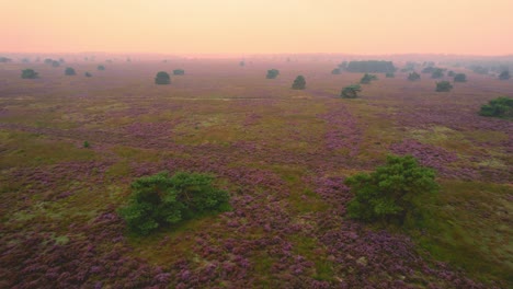 Antenne---Nebliger-Tag-über-Veluwe-Nationalpark,-Niederlande,-Vorwärtsschuss