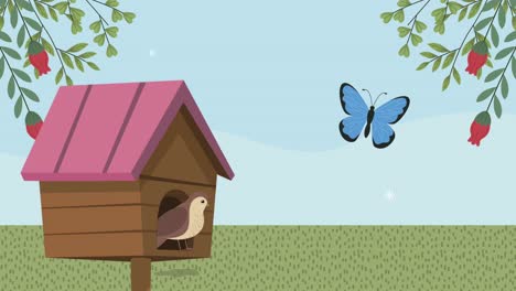 bird in house and butterflies spring scene