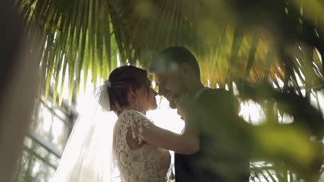 recién casados. novio caucásico con la novia en el parque. pareja de bodas. familia feliz