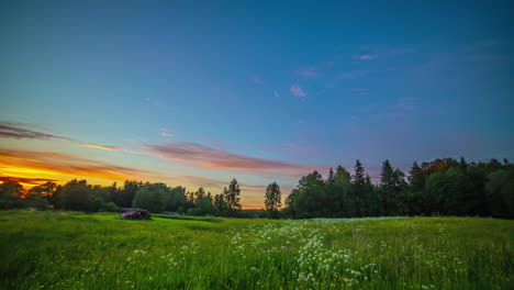 static shot of white cirrus cloud movement in timelapse over wild white flowers in full bloom over green grasslands during evening time