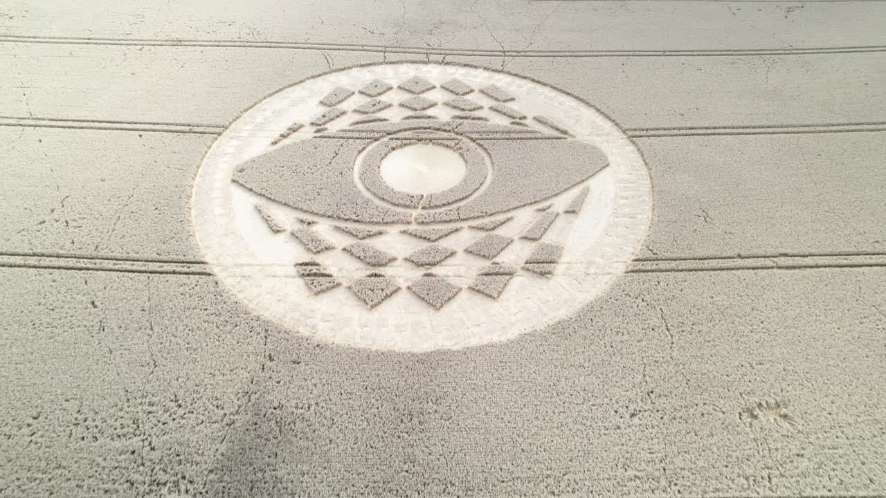 aérea sobre el intrincado patrón de círculos de cultivo en tierras de cultivo, west meon, inglaterra