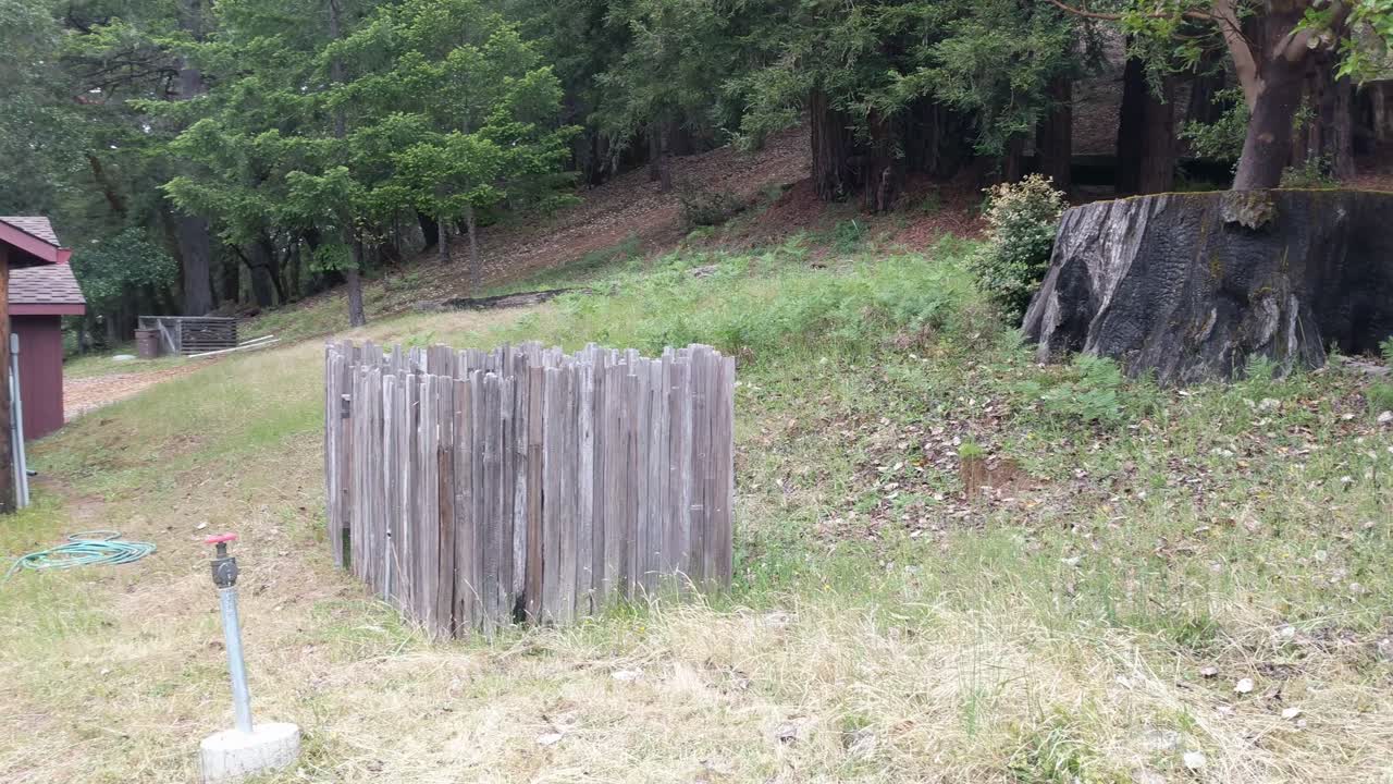 Redwood forest campground pan in 4k