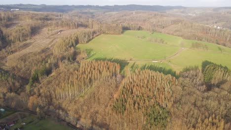 High-establishing-shot-of-the-detrimental-impact-that-deforestation