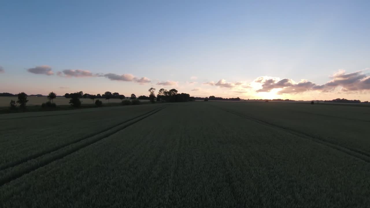 drone shot with rotation in the evening over a wheat field