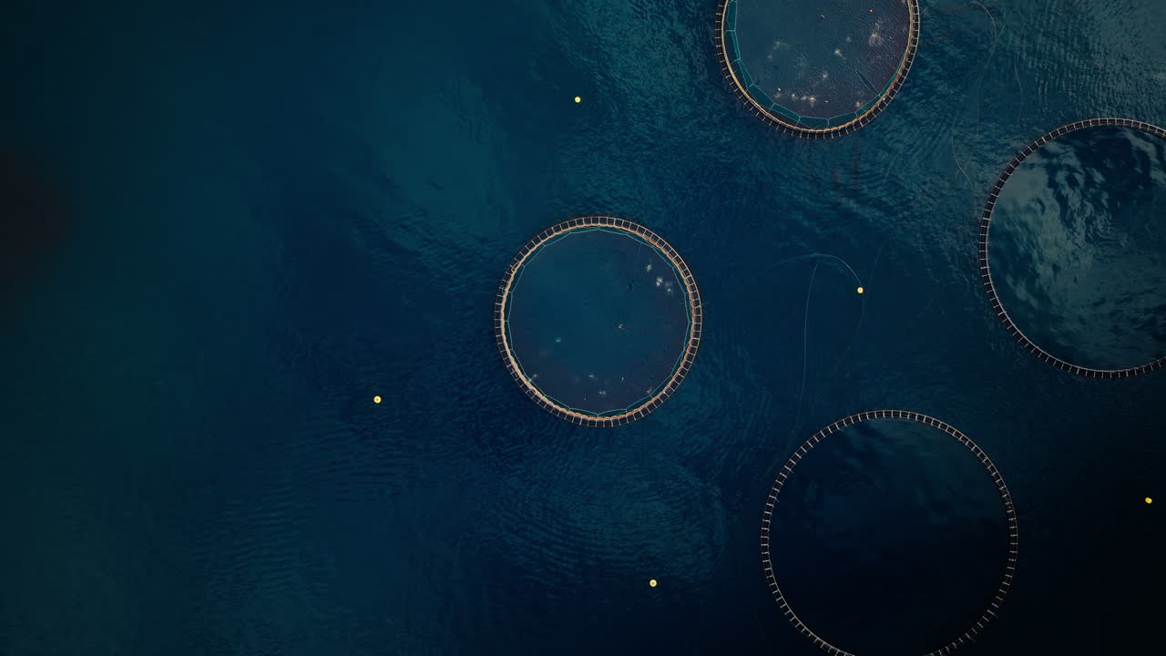Aerial View of Circular Fish Farms in the Ocean
