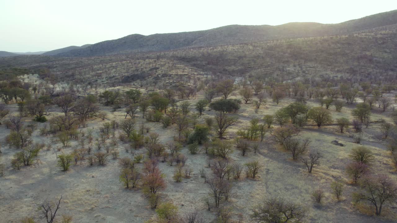 hermoso paisaje natural en kaokoland, cerca del parque nacional de etosha, aéreo