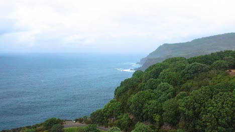 flying through dense forest and massive rugged cliffs at ponta do queimado promontory in azores, terceira island, portugal