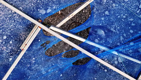 a long-tailed macaque dangles beneath a torn blue cloth at uluwatu beach