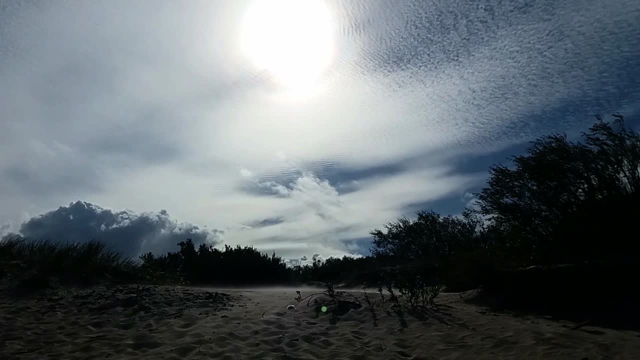 발트해 해변 모래 언덕