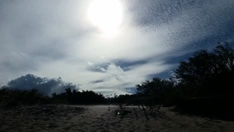 baltic sea beach sand dunes